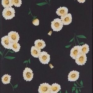 Meet your Posher, Jim